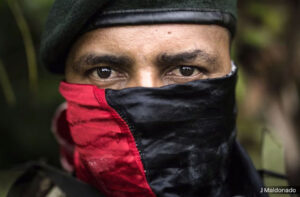 eln