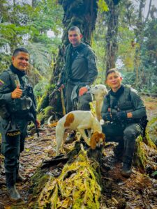 policía nacional